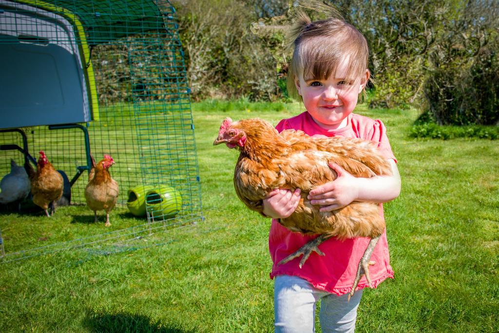 Вилла Cargurra Farm Боскасл Экстерьер фото